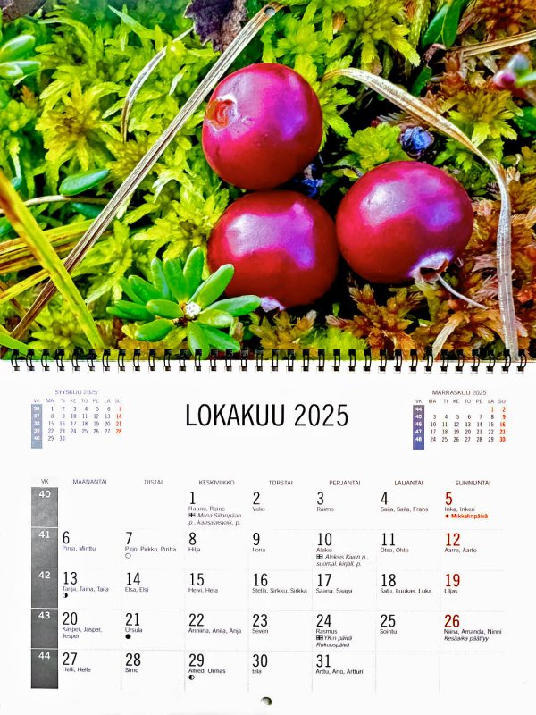 Seinäkalenteri 2025 - Image 12