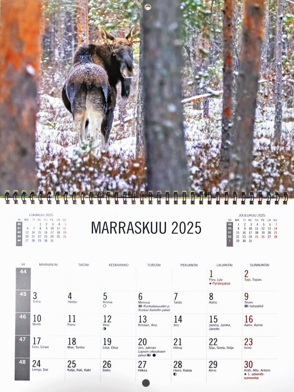 Seinäkalenteri 2025 - Image 13
