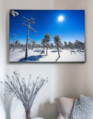 Järvineva - hiljainen luminen räme kuunvalossa -canvastaulu.